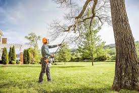 Best Emergency Tree Removal  in Owings, MD