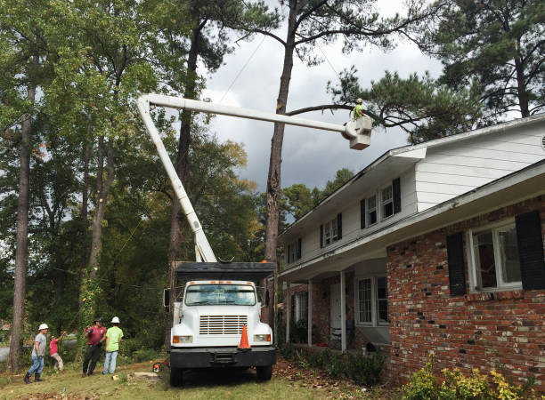 Best Seasonal Cleanup (Spring/Fall)  in Owings, MD